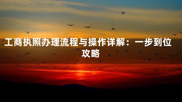 工商执照办理流程与操作详解：一步到位攻略