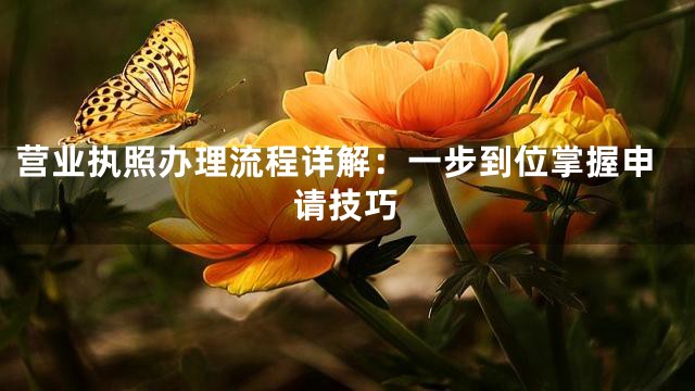 营业执照办理流程详解：一步到位掌握申请技巧