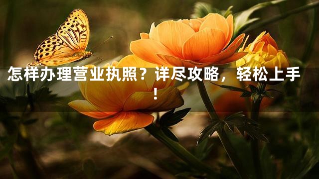 怎样办理营业执照？详尽攻略，轻松上手！