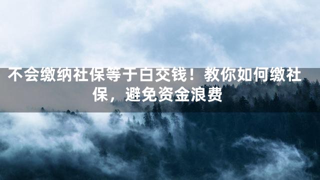 不会缴纳社保等于白交钱！教你如何缴社保，避免资金浪费