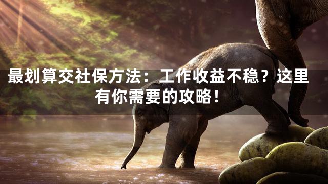 最划算交社保方法：工作收益不稳？这里有你需要的攻略！