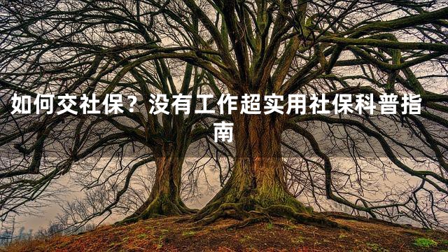 如何交社保？没有工作超实用社保科普指南