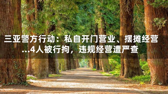 三亚警方行动：私自开门营业、摆摊经营…4人被行拘，违规经营遭严查