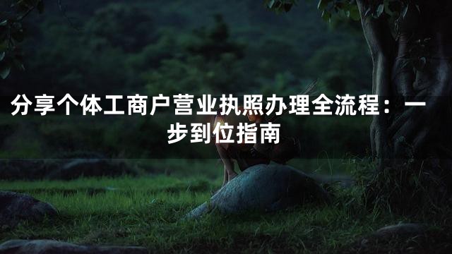 分享个体工商户营业执照办理全流程：一步到位指南