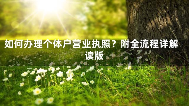 如何办理个体户营业执照？附全流程详解读版
