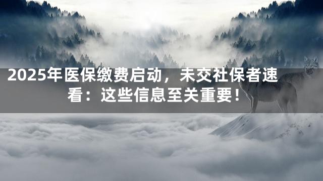 2025年医保缴费启动，未交社保者速看：这些信息至关重要！