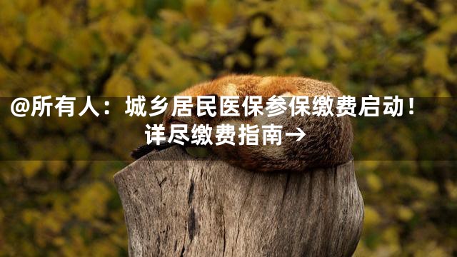 @所有人：城乡居民医保参保缴费启动！详尽缴费指南→