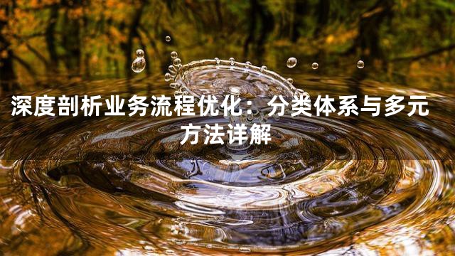 深度剖析业务流程优化：分类体系与多元方法详解