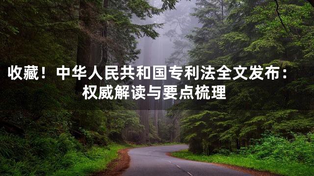 收藏！中华人民共和国专利法全文发布：权威解读与要点梳理