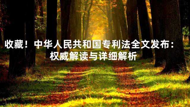 收藏！中华人民共和国专利法全文发布：权威解读与详细解析