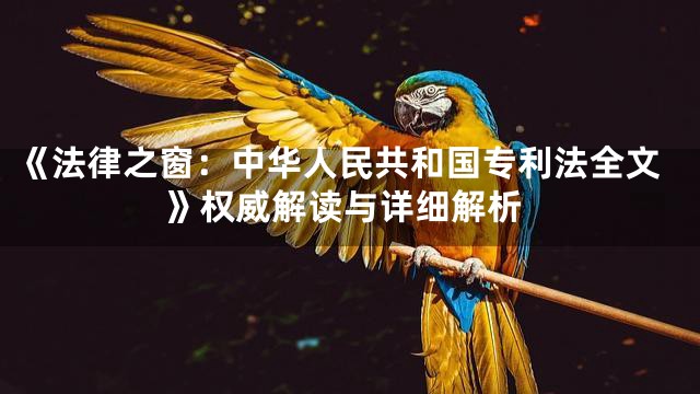 《法律之窗：中华人民共和国专利法全文》权威解读与详细解析