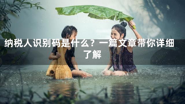 纳税人识别码是什么？一篇文章带你详细了解