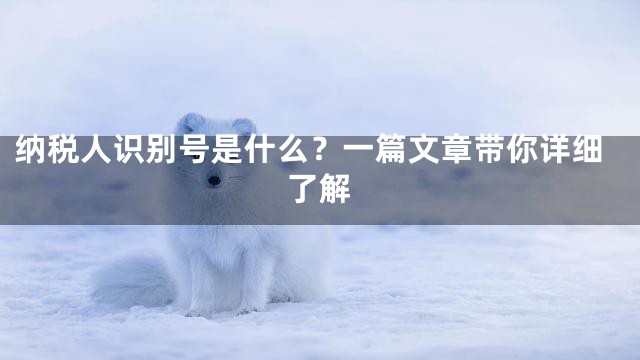 纳税人识别号是什么？一篇文章带你详细了解