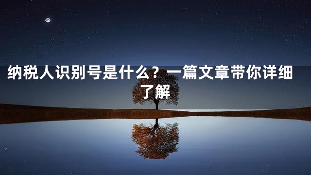 纳税人识别号是什么？一篇文章带你详细了解