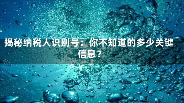 揭秘纳税人识别号：你不知道的多少关键信息？