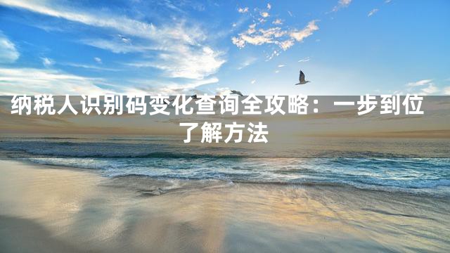 纳税人识别码变化查询全攻略：一步到位了解方法