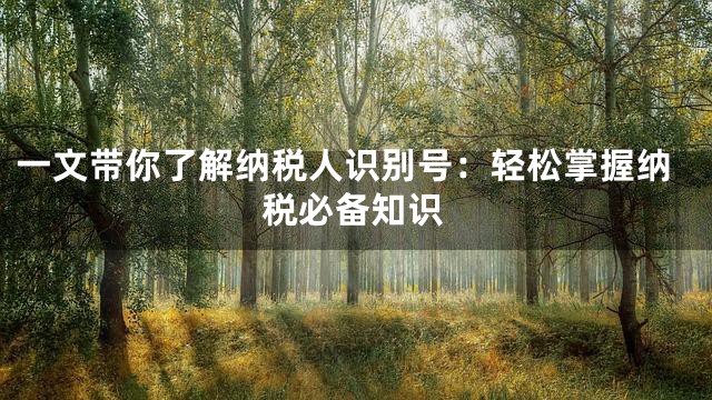 一文带你了解纳税人识别号：轻松掌握纳税必备知识