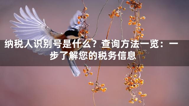 纳税人识别号是什么？查询方法一览：一步了解您的税务信息