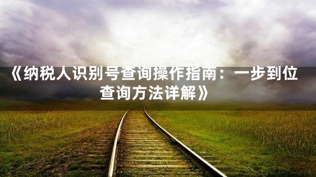 《纳税人识别号查询操作指南：一步到位查询方法详解》