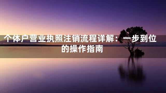 个体户营业执照注销流程详解：一步到位的操作指南