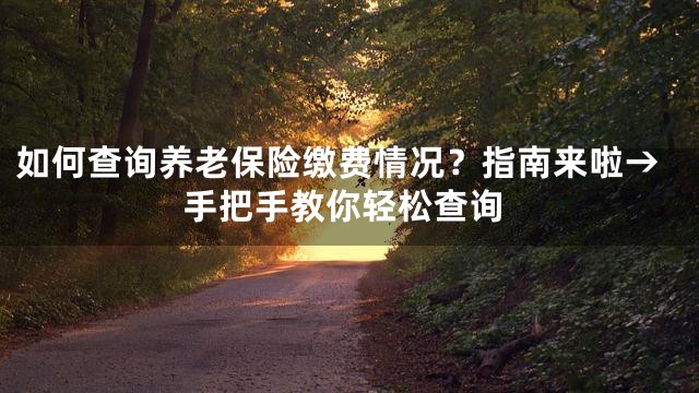 如何查询养老保险缴费情况？指南来啦→手把手教你轻松查询