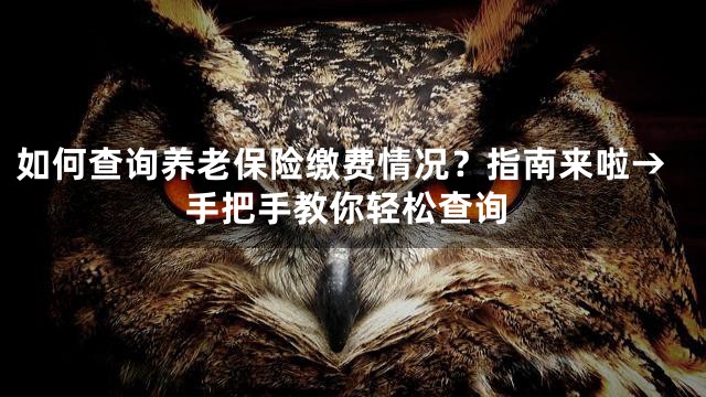 如何查询养老保险缴费情况？指南来啦→手把手教你轻松查询