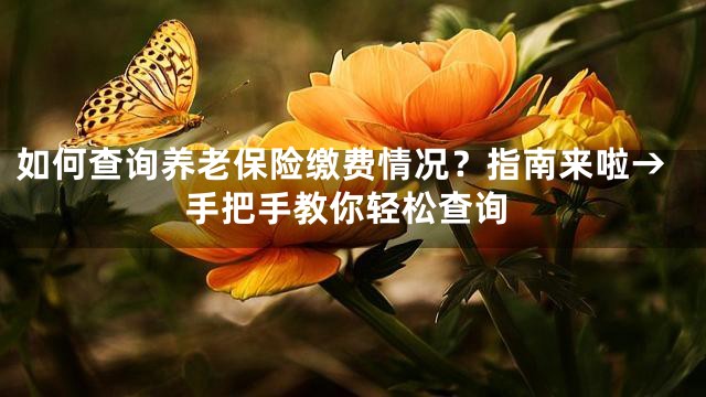 如何查询养老保险缴费情况？指南来啦→手把手教你轻松查询