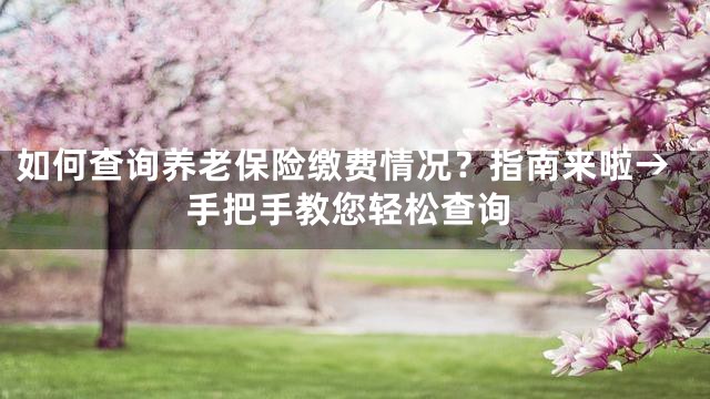 如何查询养老保险缴费情况？指南来啦→手把手教您轻松查询