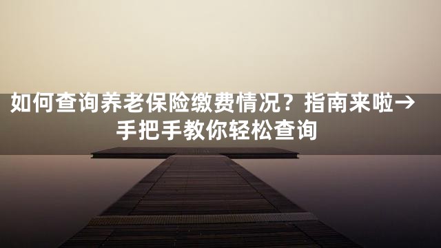 如何查询养老保险缴费情况？指南来啦→手把手教你轻松查询