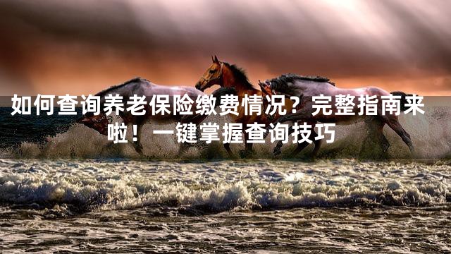 如何查询养老保险缴费情况？完整指南来啦！一键掌握查询技巧