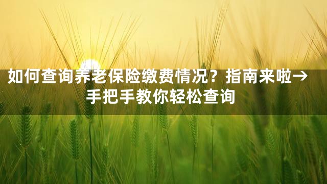 如何查询养老保险缴费情况？指南来啦→手把手教你轻松查询