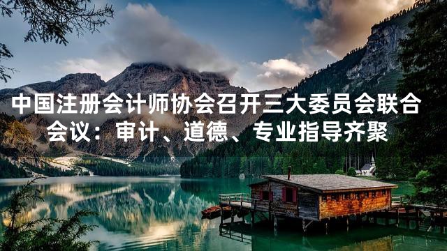 中国注册会计师协会召开三大委员会联合会议：审计、道德、专业指导齐聚