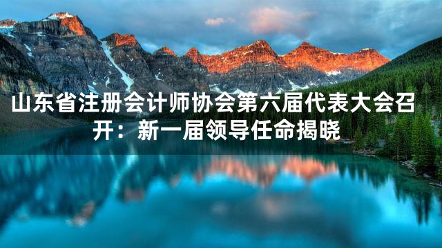 山东省注册会计师协会第六届代表大会召开：新一届领导任命揭晓