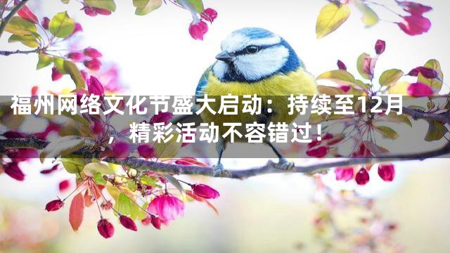 福州网络文化节盛大启动：持续至12月，精彩活动不容错过！