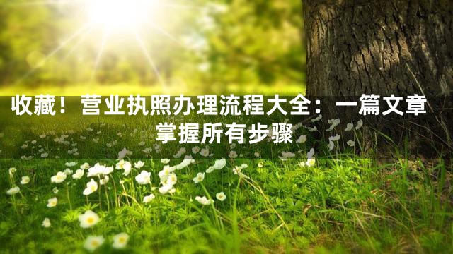 收藏！营业执照办理流程大全：一篇文章掌握所有步骤