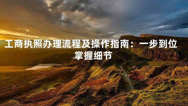 工商执照办理流程及操作指南：一步到位掌握细节