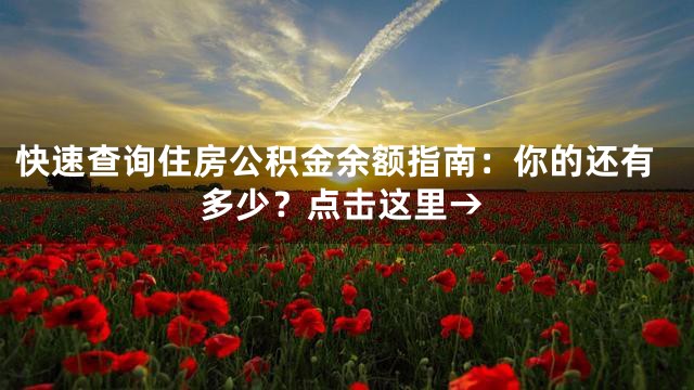 快速查询住房公积金余额指南：你的还有多少？点击这里→