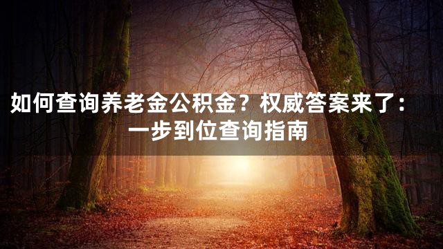 如何查询养老金公积金？权威答案来了：一步到位查询指南