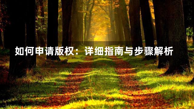 如何申请版权：详细指南与步骤解析