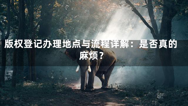 版权登记办理地点与流程详解：是否真的麻烦？