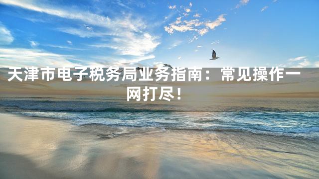 天津市电子税务局业务指南：常见操作一网打尽！