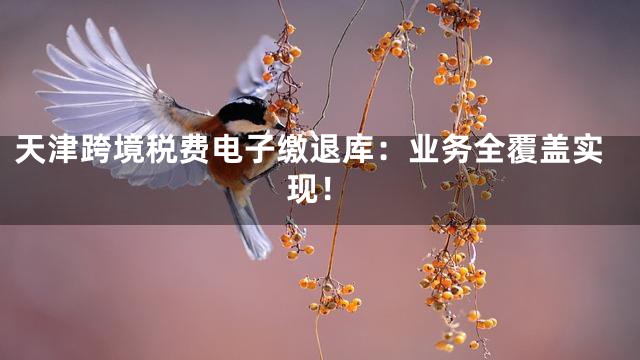 天津跨境税费电子缴退库：业务全覆盖实现！