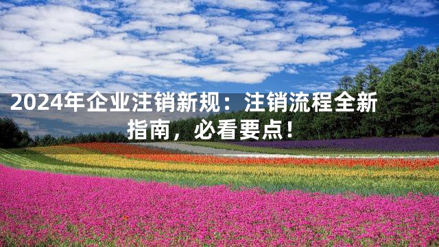 2024年企业注销新规：注销流程全新指南，必看要点！