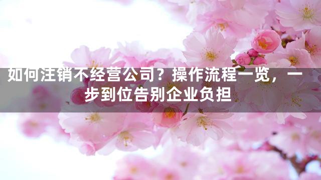 如何注销不经营公司？操作流程一览，一步到位告别企业负担