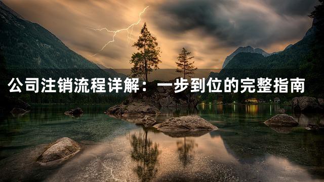 公司注销流程详解：一步到位的完整指南