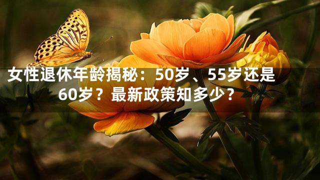 女性退休年龄揭秘：50岁、55岁还是60岁？最新政策知多少？