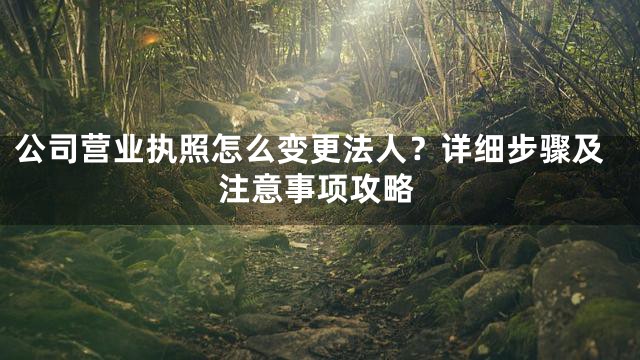 公司营业执照怎么变更法人？详细步骤及注意事项攻略