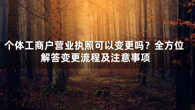 个体工商户营业执照可以变更吗？全方位解答变更流程及注意事项