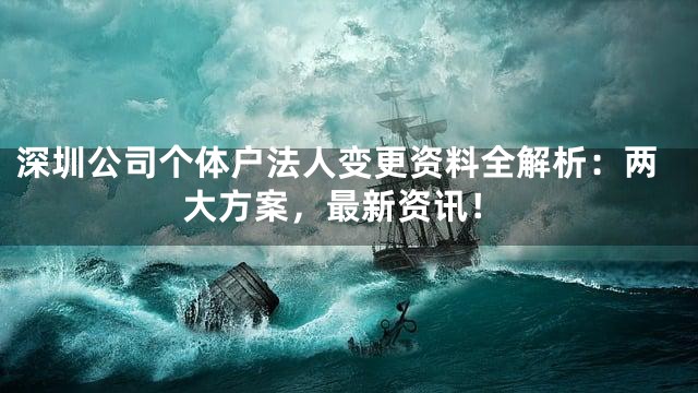 深圳公司个体户法人变更资料全解析：两大方案，最新资讯！