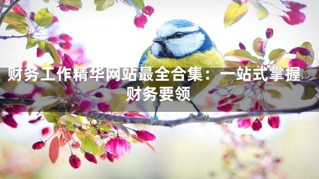 财务工作精华网站最全合集：一站式掌握财务要领